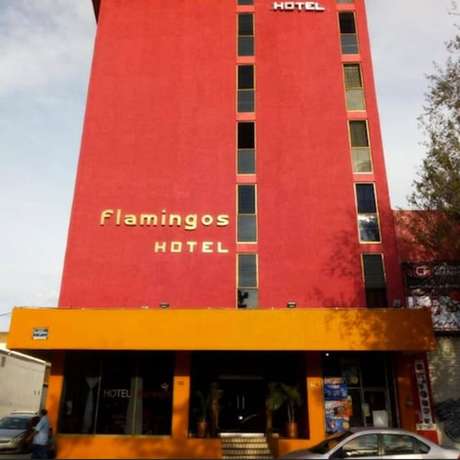 Imagen general del Hotel Flamingos, Guadalajara. Foto 2