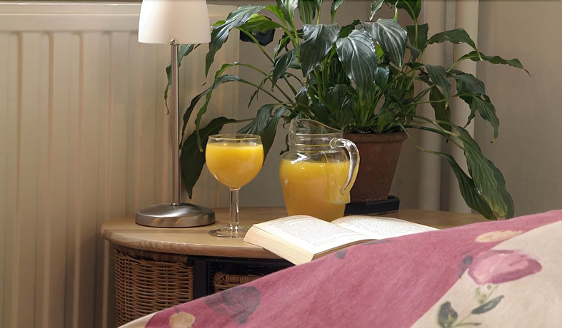 Imagen de la habitación del Hotel Flandria, Gante. Foto 12