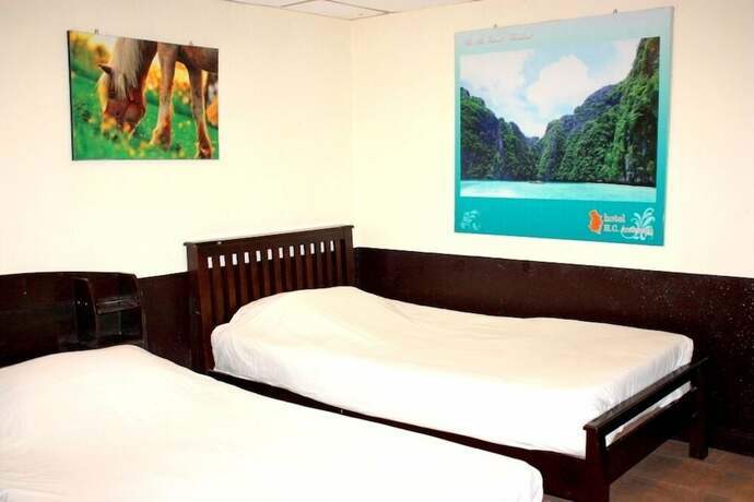 Imagen general del Hotel Flashpackers. Foto 4