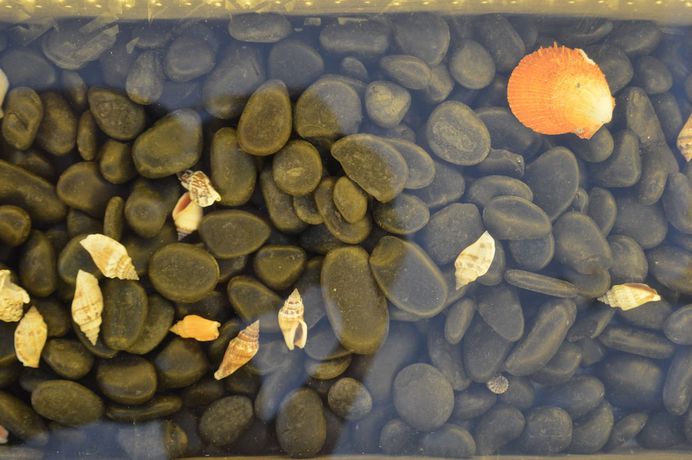 Imagen de la habitación del Hotel Flaskos Suites. Foto 4