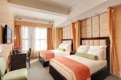 Imagen de la habitación del Hotel Flatiron. Foto 4