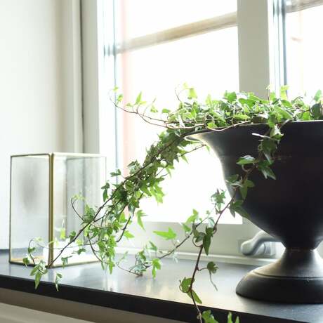 Imagen general del Hotel Flädie Mat and Vingård. Foto 13