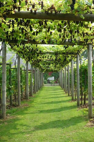 Imagen general del Hotel Flädie Mat and Vingård. Foto 16