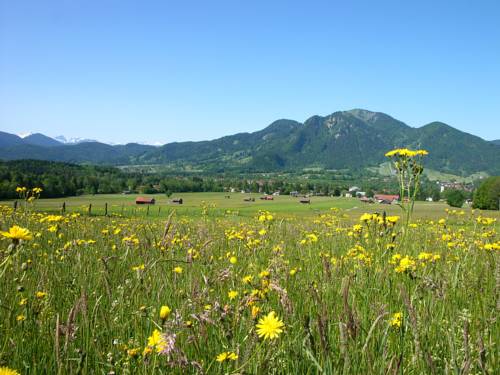 Imagen de la habitación del Hotel Flesslers Lenggries, a Tribute Portfolio Hotel. Foto 7