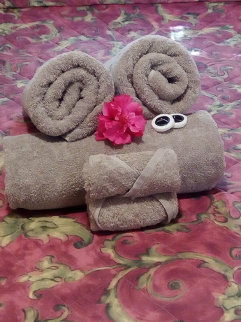 Imagen de la habitación del Hotel Fletcher Christian Apartments. Foto 5