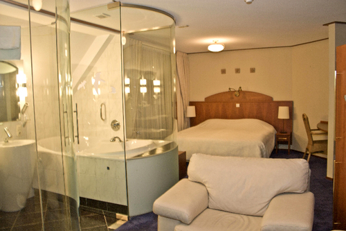 Imagen de la habitación del Hotel Fletcher Duinhotel Burgh Haamstede. Foto 3