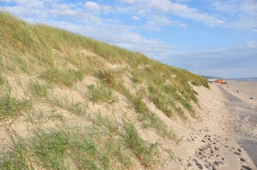 Imagen de la habitación del Hotel Fletcher Jan Van Scorel. Foto 6
