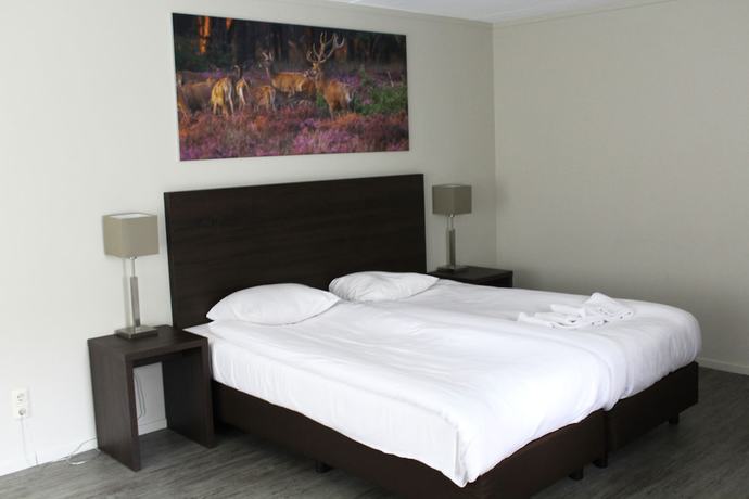 Imagen de la habitación del Hotel Fletcher Landgoed Avegoor. Foto 19