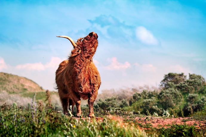 Imagen general del Hotel Fletcher Restaurant Teugel Uden - Veghel. Foto 2