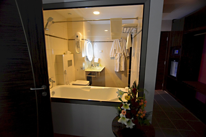 Imagen de la habitación del Hotel Fleur De Lys Plateau. Foto 12