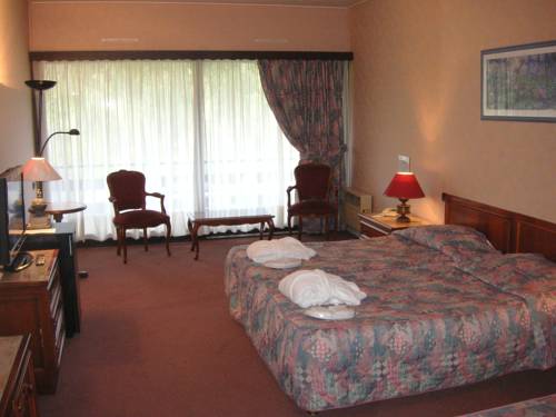 Imagen de la habitación del Hotel Fleur De Neige. Foto 11