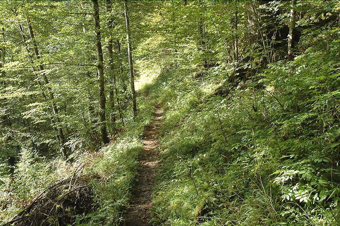 Imagen general del Hotel Fleur de Lis, Le Locle. Foto 2