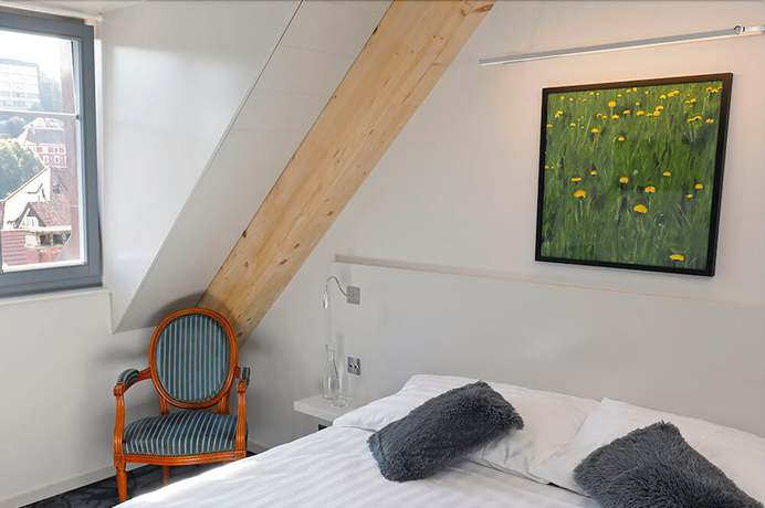 Imagen de la habitación del Hotel Fleur de Lis, Le Locle. Foto 11