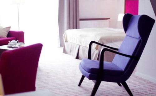 Imagen de la habitación del Hotel Flinski Sport X SPA, Boutique X Art. Foto 8