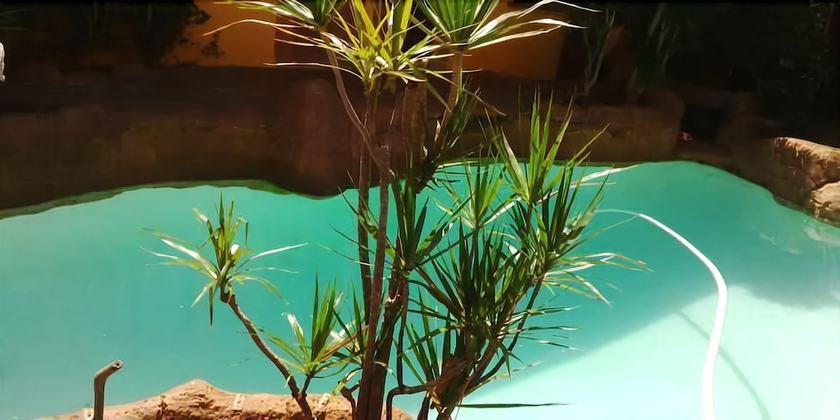 Imagen de la piscina del Hotel Flintstones Guest House Durban. Foto 16