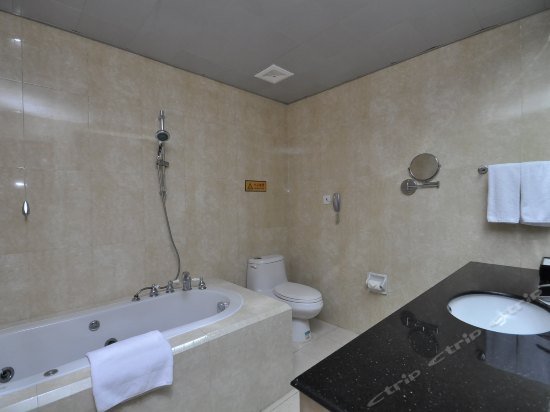 Imagen de la habitación del Hotel Fliport Garden Nanjing. Foto 5