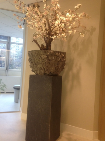 Imagen de los interiores del Hotel Flipper Amsterdam. Foto 13