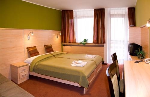 Imagen de la habitación del Hotel Fl&oacute;ra, Trencianske Teplice. Foto 19