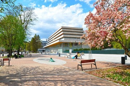 Imagen general del Hotel Fl&oacute;ra, Trencianske Teplice. Foto 6