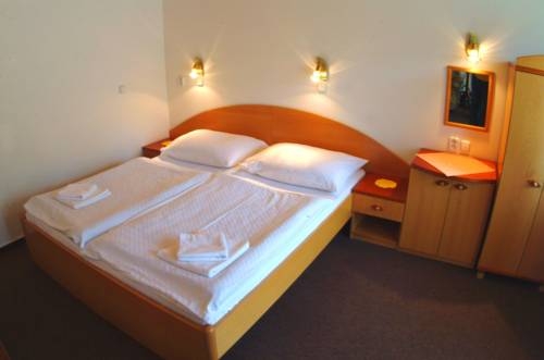 Imagen de la habitación del Hotel Fl&oacute;ra, Trencianske Teplice. Foto 20