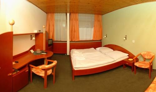 Imagen de la habitación del Hotel Fl&oacute;ra, Trencianske Teplice. Foto 26