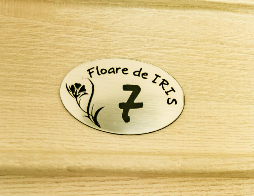 Imagen general del Hotel Floare De Iris. Foto 5