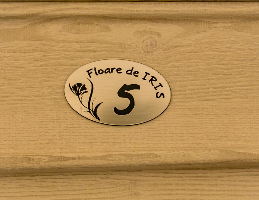 Imagen general del Hotel Floare De Iris. Foto 19
