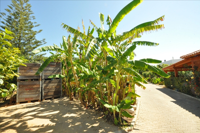 Imagen de los exteriores del Hotel Flôr Da Laranja, Albufeira. Foto 10