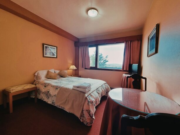 Imagen de la habitación del Hotel Flor Austral. Foto 15