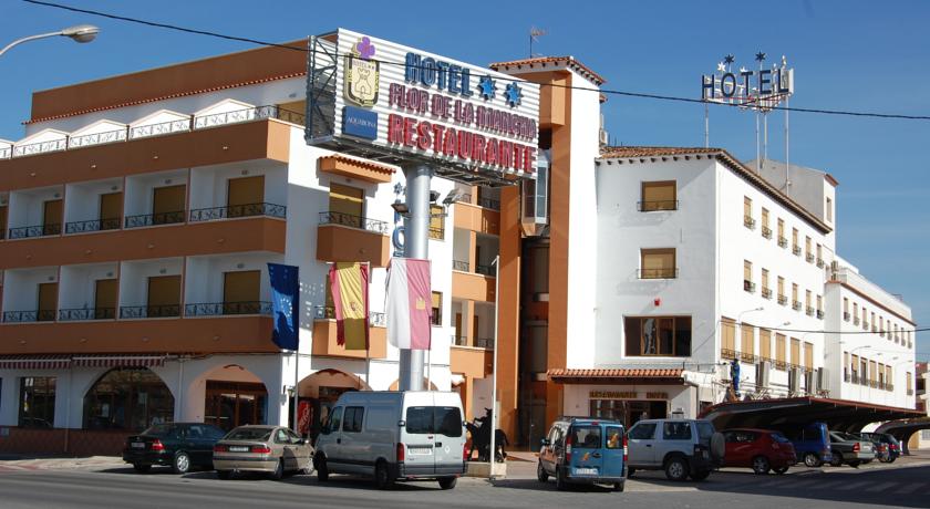Imagen general del Hotel Flor De La Mancha. Foto 3