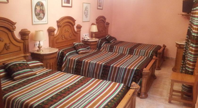 Imagen de la habitación del Hotel Flor De La Mancha. Foto 10