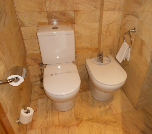 Imagen de la habitación del Hotel Flor Parks. Foto 5