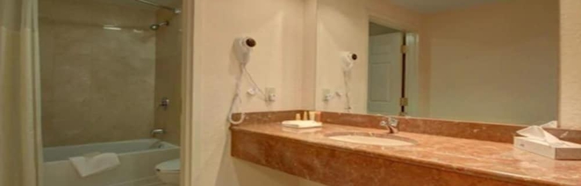 Imagen de la habitación del Hotel Flor Tampa Downtown, Tapestry Collection By Hilton. Foto 17