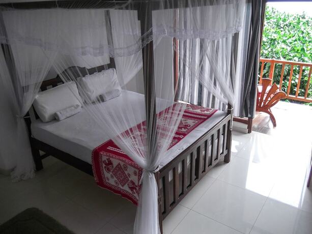 Imagen general del Hotel Flora and Fauna Mirissa. Foto 1