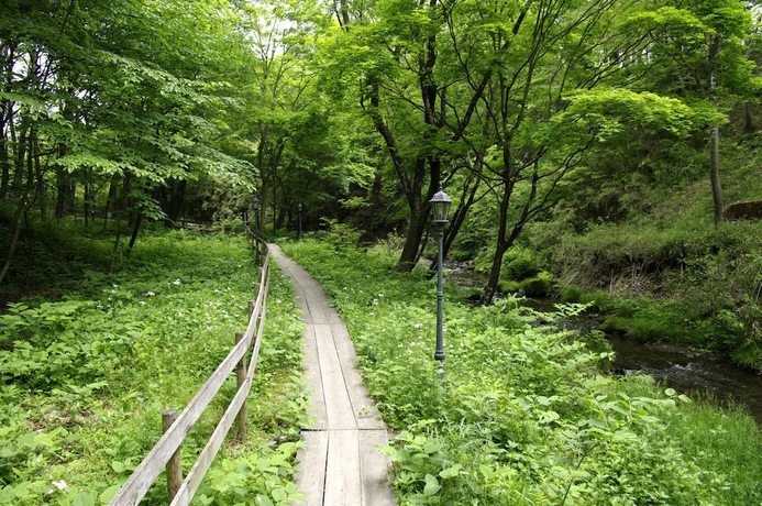 Imagen general del Hotel Floracion Nasu. Foto 3