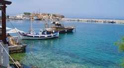 Imagen de los exteriores del Hotel Floral. Foto 5