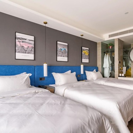 Imagen de la habitación del Hotel Floral Hotel Tian Cheng Airport. Foto 3