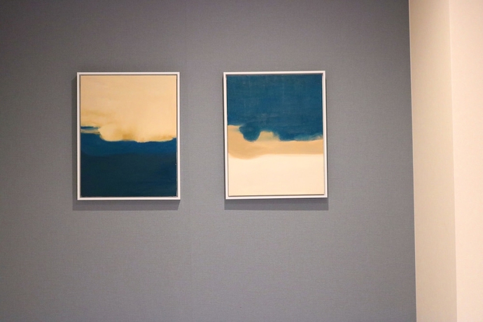 Imagen de la habitación del Hotel Floral Sakaisujihonmachi Osaka. Foto 13