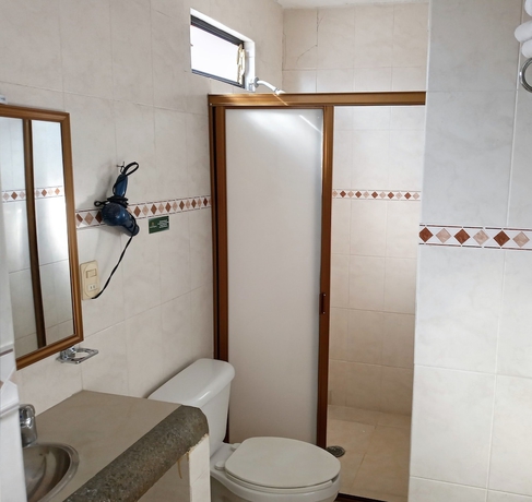 Imagen de la habitación del Hotel Florencia Regency. Foto 15