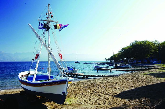 Imagen de los exteriores del Hotel Florida Blue Bay Resort and Spa. Foto 9