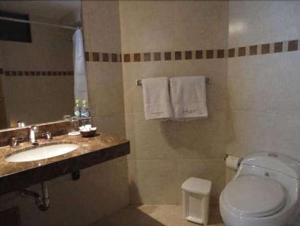 Imagen de la habitación del Hotel Florida Del Inca. Foto 12