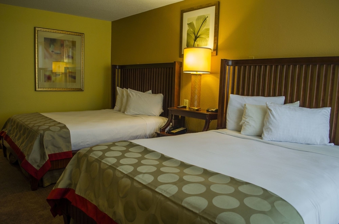 Imagen de la habitación del Hotel Floridian Express. Foto 3