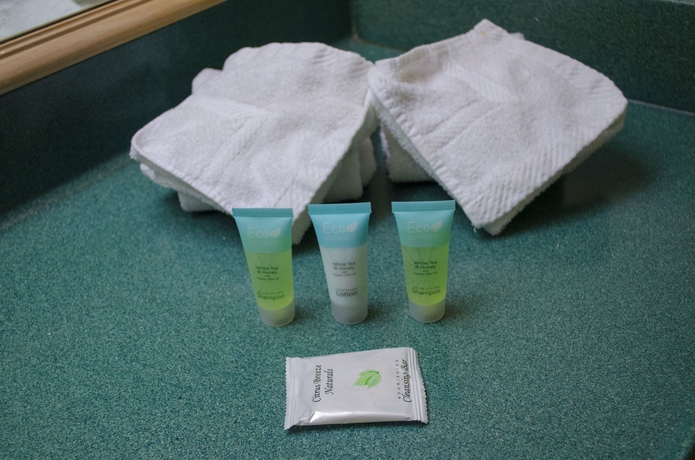 Imagen de la habitación del Hotel Floridian Express. Foto 6