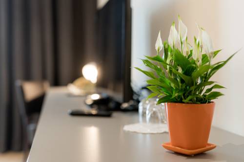 Imagen de la habitación del Hotel Florjanckov Hram. Foto 15