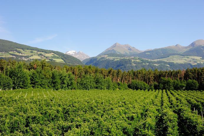 Imagen de la habitación del Hotel Flötscherhof. Foto 14