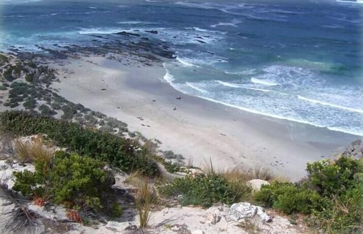 Imagen de los exteriores del Hotel Flour Cask Bay Retreat. Foto 29