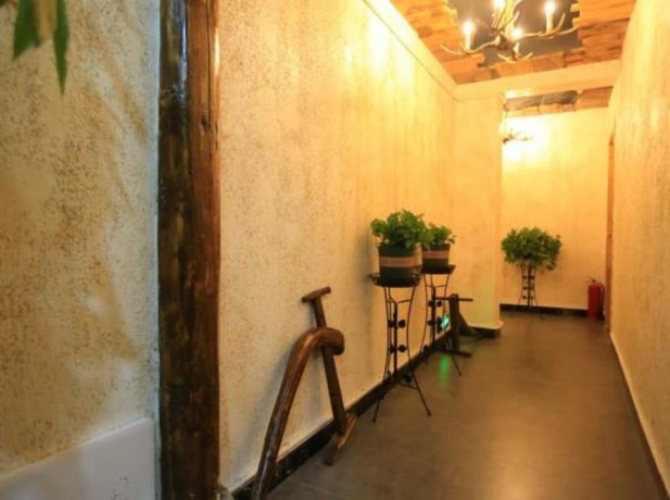 Imagen general del Hotel Flower House. Foto 6