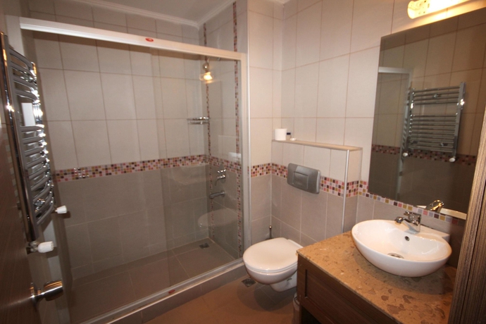 Imagen de la habitación del Hotel Flower Palace. Foto 2