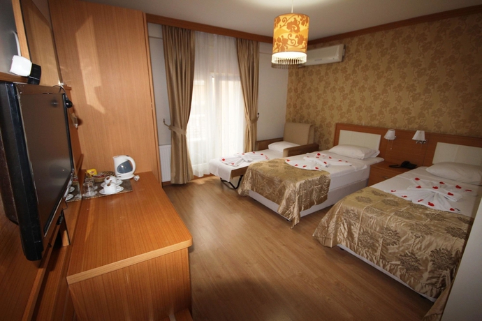 Imagen de la habitación del Hotel Flower Palace. Foto 4