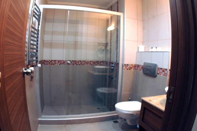 Imagen de la habitación del Hotel Flower Palace. Foto 7